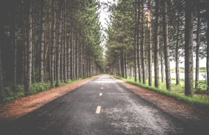 Why using a Dashboard camera can save you money